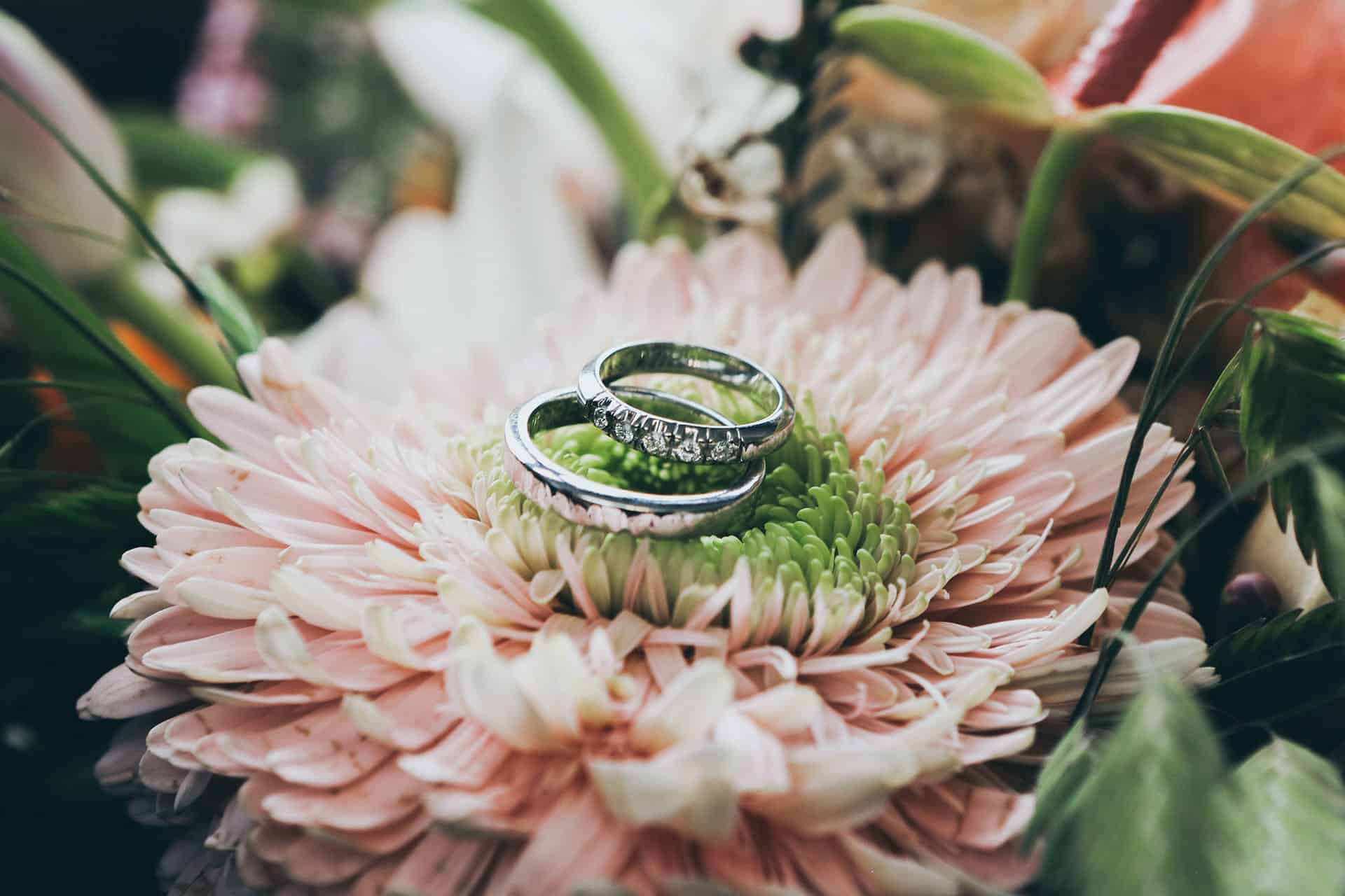 Two wedding rings sitting at the centre of a beautiful flower arrangement